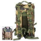 Rear image of the Assault Backpack.